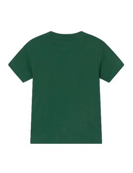 Camiseta verde oso Polo Ralph Lauren