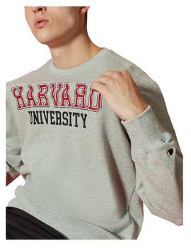 Sudadera crewneck Harvard gris Champion