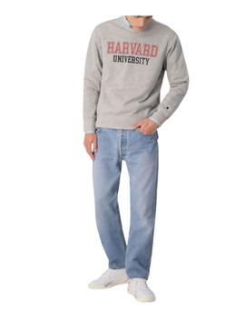 Sudadera crewneck Harvard gris Champion