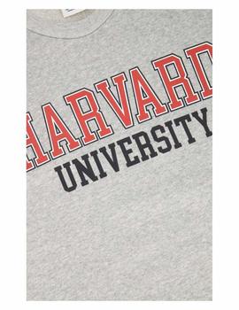 Sudadera crewneck Harvard gris Champion