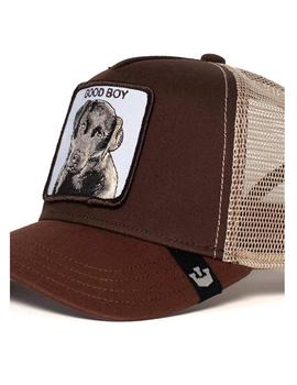 Gorra animal farm Puppy dog eyes Goorin Bros