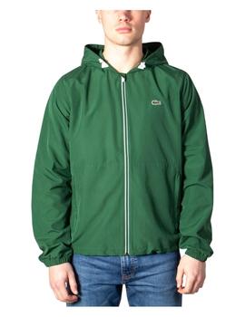 Chaqueta verde Lacoste