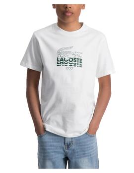 Camiseta blanca logo Lacoste