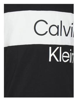 Camiseta institutional blocking Calvin Klein