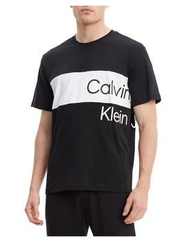 Camiseta institutional blocking Calvin Klein