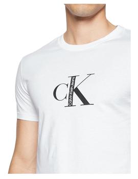 Camiseta Institutional Calvin Klein