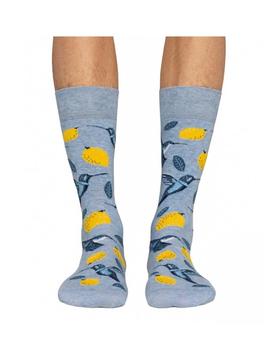 Calcetines Birds & Lemons Jimmy Lion