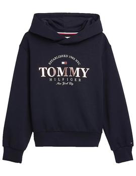 Sudadera Foil Graphic Azul Tommy Hilfiger