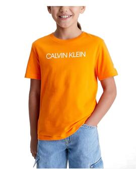 Camiseta institutional Calvin Klein