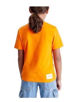 Camiseta institutional Calvin Klein