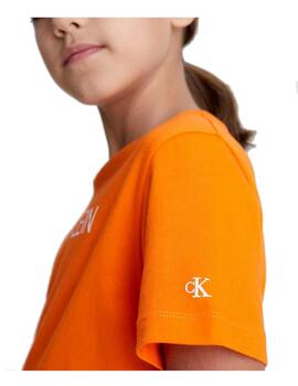 Camiseta institutional Calvin Klein