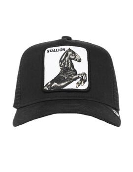 Gorra Little Stallion Goorin Bros