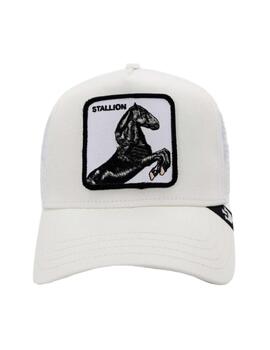 Gorra The Stallion Goorin Bros