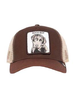 Gorra animal farm Puppy dog eyes Goorin Bros