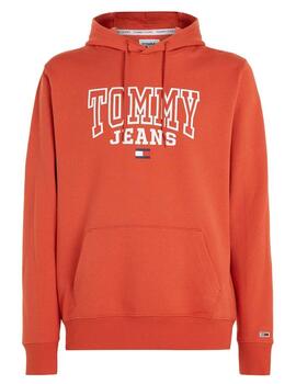 Sudadera reg entry graphic Tommy Jeans