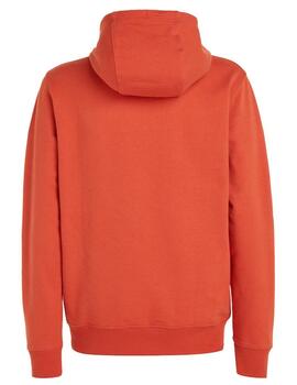 Sudadera reg entry graphic Tommy Jeans