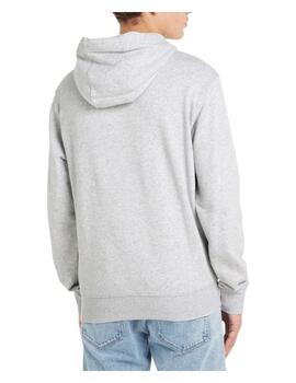 Sudadera Reg Arched Logo Hoodie Tommy Jeans