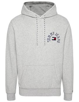 Sudadera Reg Arched Logo Hoodie Tommy Jeans