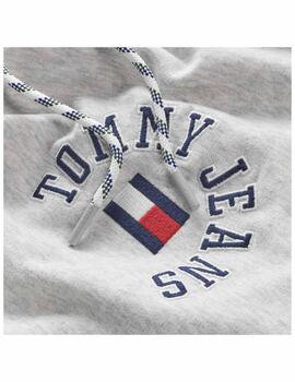 Sudadera Reg Arched Logo Hoodie Tommy Jeans