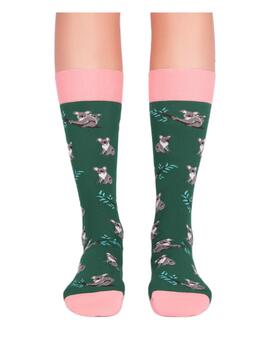 Calcetines Koala's green Jimmy Lion
