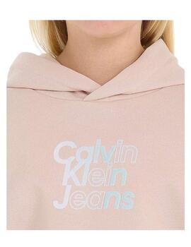 Sudadera Rose Gradient Logo Calvin Klein