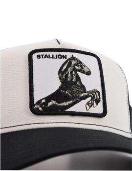 Gorra The Stalion Goorin Bros