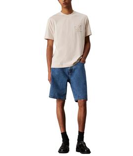 Camiseta Applique Calvin Klein