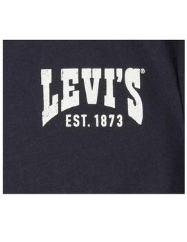 Camiseta Valley View Levi´s