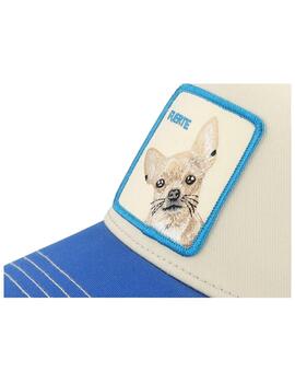 Gorra The fuerte dog Goorin Bros