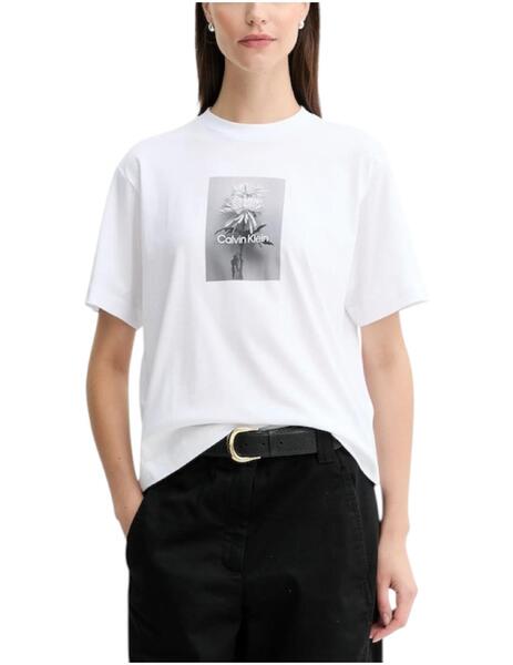 Gallery a16414 3yy6vgtn