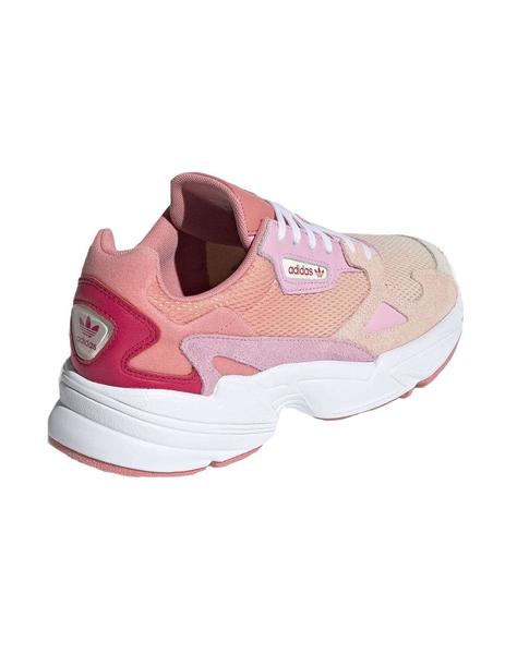 Falcon rosa 2025
